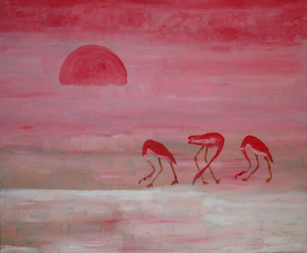 Soleil et flamands roses